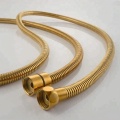 Bathroom Accessories Short Basin Toilet Shower Hose