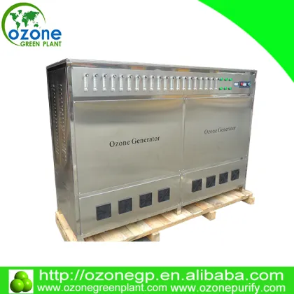 quality assurance 100G-5000G negative ion ozone generator