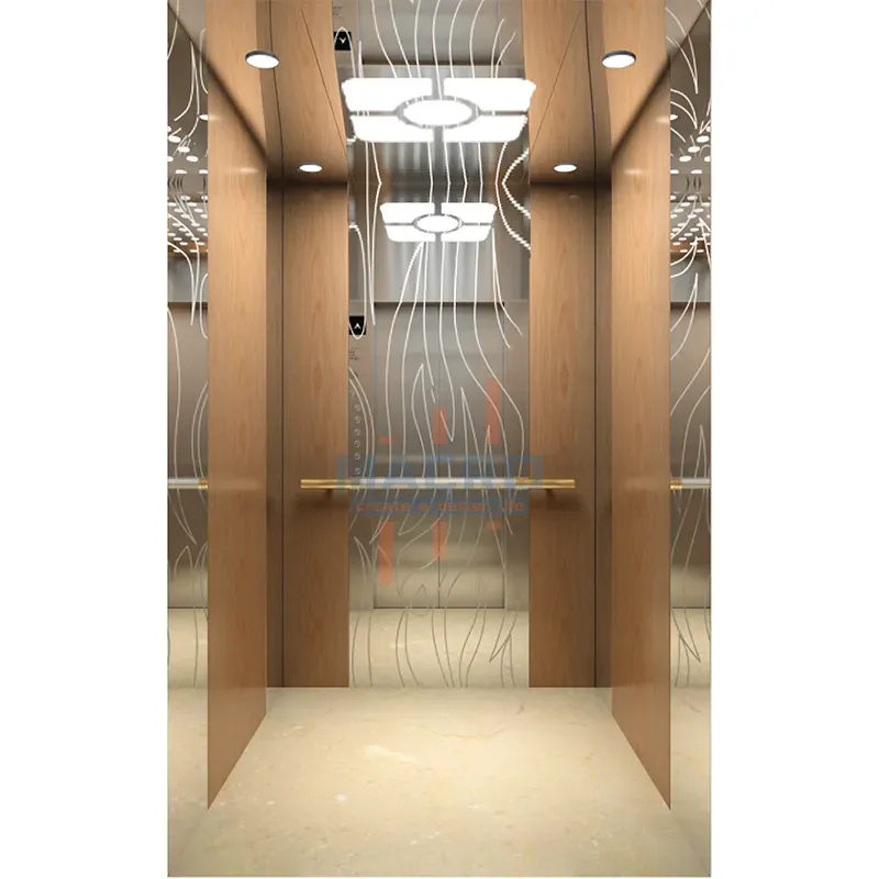 Residential Passenger Elevator with Customized CE EAC Manufacturer Funicular Solution