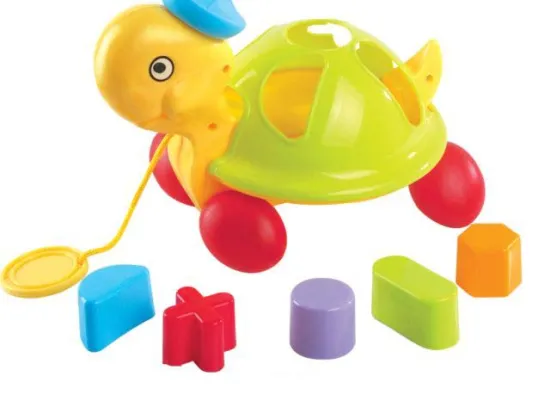 SHAPE SORTING TORTOISE