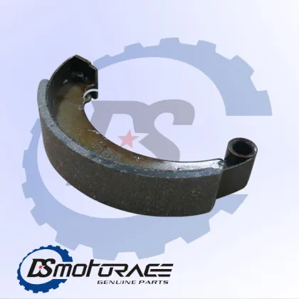 Ds Brakes Brake Shoes for Motorcycle