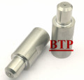 Tungsteno y aleación tornillo punzón molde (BTP-P185)