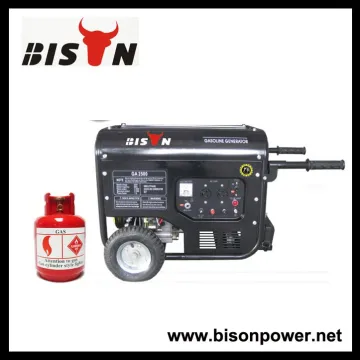 BISON(CHINA) 170F Engine Max Power 3kw Biogas Generator Price