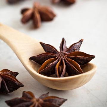 100% Pure Organic Star Anise Essential Oil