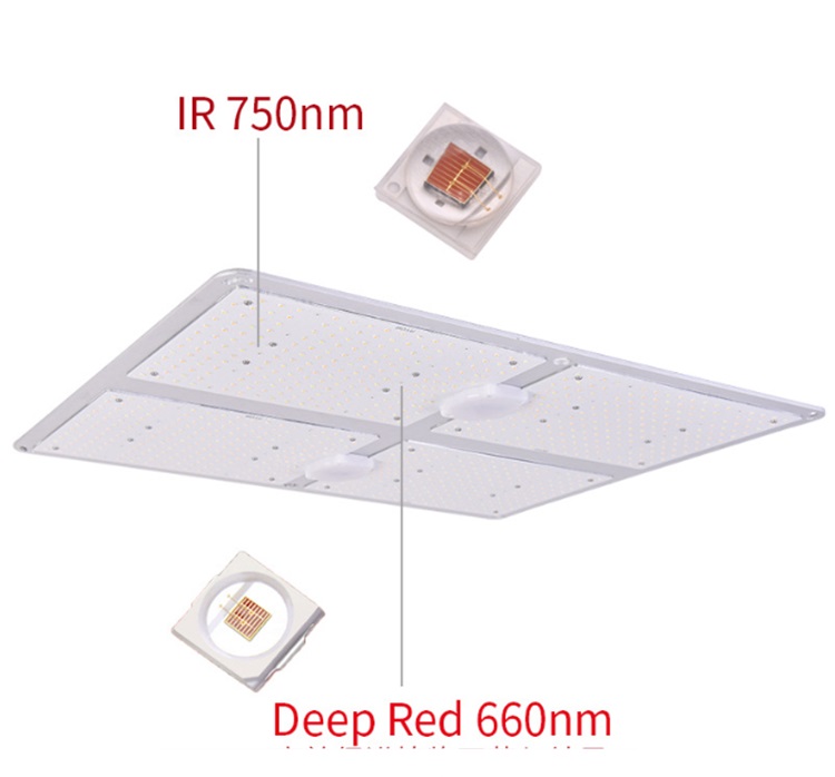 Cob Grow Light