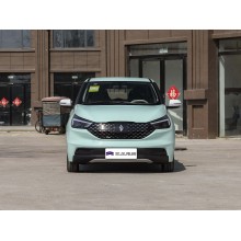 New Energy Electric Hatchback JMEV EV3
