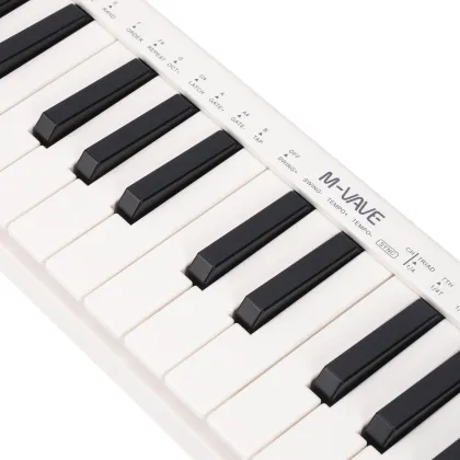 Portable Mini 25 Key Digital Piano - Professional Electronic MIDI Keyboard Controller