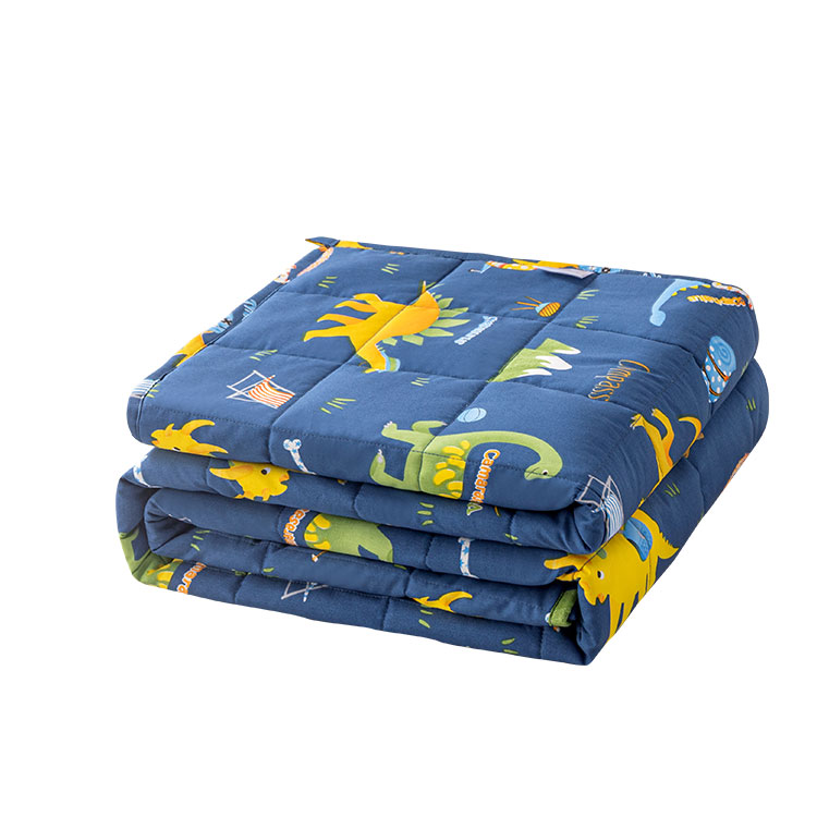OEM Service High Grade Pure Cartoon Weighted Blanket