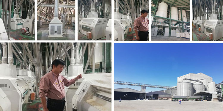 50t per day corn mills maize flour mill machine for Africa market