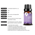 Kiwanda Wholesale 10ml OEM/ODM Lavender Mafuta muhimu kwa harufu ya aromatherapy, nywele kulala juu concenrate