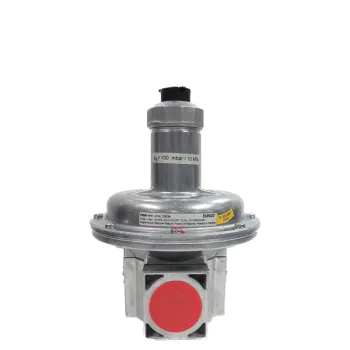 Search Engine Title: Dungs & FRSBV 1010 226284 Rp1 LPG Low Gas Pressure Regulator and Safety Pressure Relief Valve