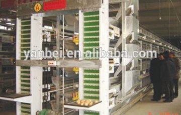 H Type Multi-tier Hot Galvanized Automatic Chicken Cage