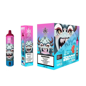 Bang Beach 22000 Puffs Disposable Vape Wholesale France