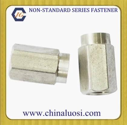 Professional Non-Standard Fastener Parts