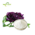Paeonia Suffruticosa Bark Extract /Paeonol 98% Powder