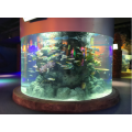 Akrilik akvaryumda büyük akrilik silindirli balık tankı