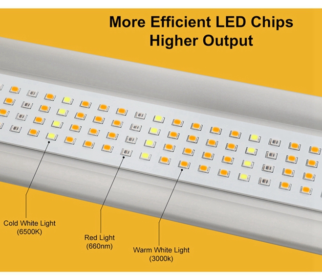 4 Best Led Grow Light