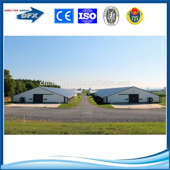 steel structure poultry house and poultry farming for broiler or layer