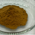 Grifola Frondosa Extract Powder