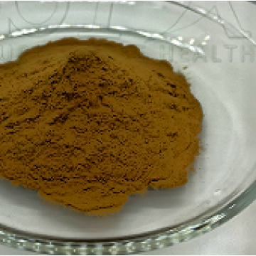 Grifola Frondosa Extract Powder