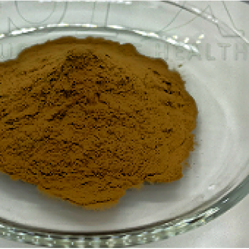 Grifola Frondosa Extract Powder