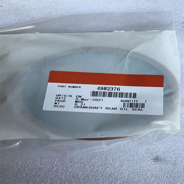 Rear Seal 4982376