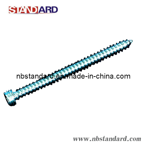 Screw / Machine Screw