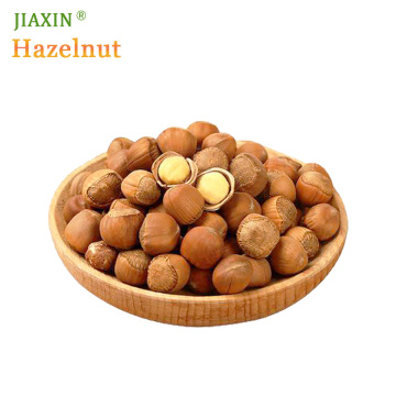 Best Price Hazelnut for Snack Tieling Roasted Hazelnuts