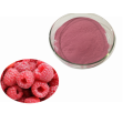 Soluble Betanin Red Beet Root Juice Concentrate Powder