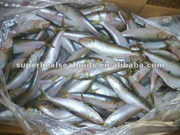 Canned fish