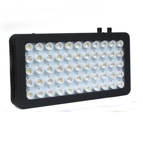 Lampu Aquarium Fish Tank Aquarium Light Terumbu Laut