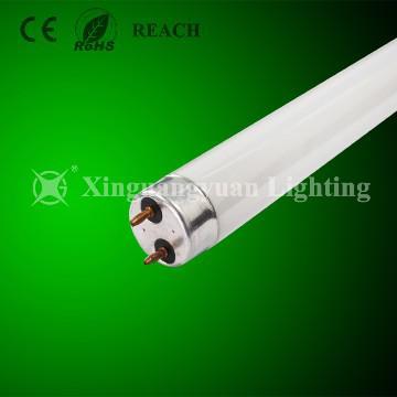 T8 triphosphor powder tube light
