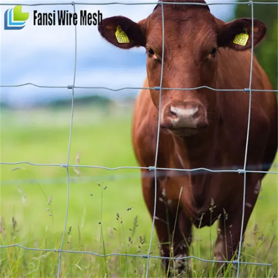 Thailand Fixed Knot Galvanized Wire Fence for Cattle, Sheep, and Horses