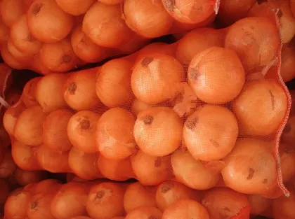 Supply Chinese fresh yellow onions