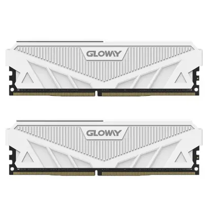 Gloway DDR5 32GB 6400MHz DIMM CL32 XMP Desktop RAM