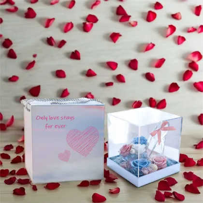 Eternal Rose in Cinderella Crystal Shoes: Preserved Flower Gifts for Weddings and Valentine's Day