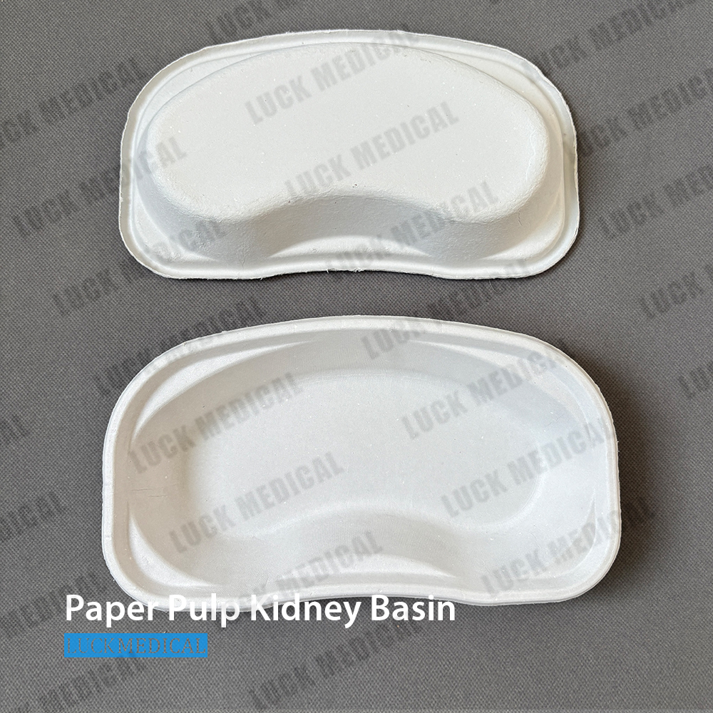 Блюдо из мякоти почек медицинского назначения, 800 мл