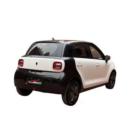 ORA Black Cat 301 Edition All-electric vehicle