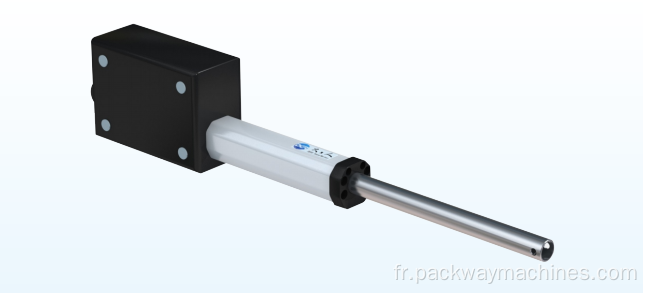 Cylindre d'actionneur linéaire de précision 0-100 kg