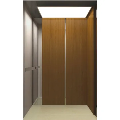 Hyundai Fuji Home Elevator for Sale Luxury Hotel Elevator Lift