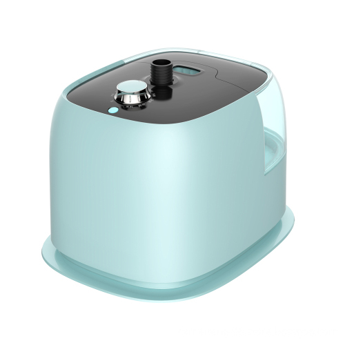 Garment steamer