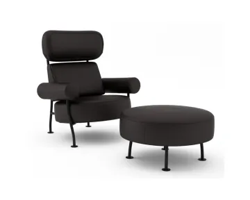 Elegant Leisure Chairs with Light and Dark Walnut Finish