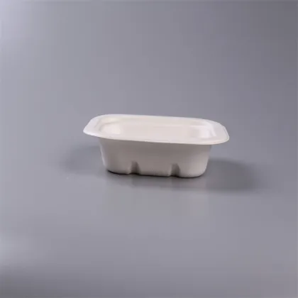 Biodegradable Tableware Food Packaging Bagasse Container