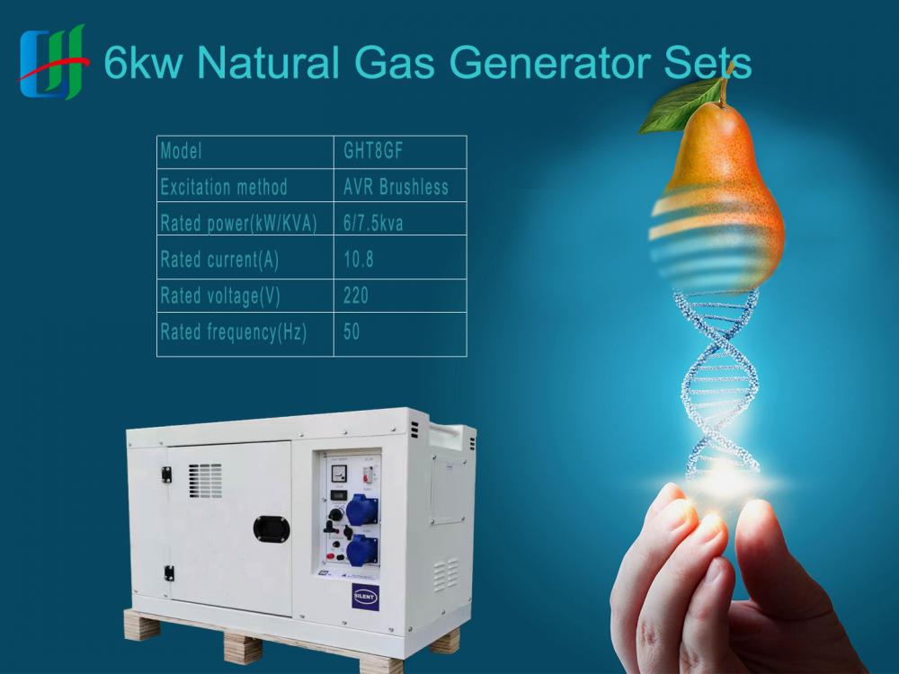 Conjunto de generador de gas natural portátil de 4 cilindros de 6 kW