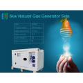 4-Cylinder Water-Cool 6kw Portable Natural Gas Generator Set