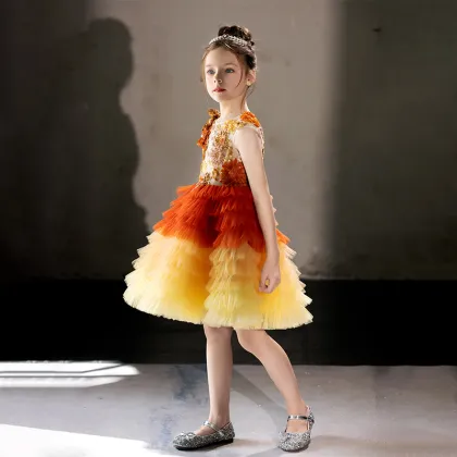 Embroidered Pearl Skirt Dress for Girls