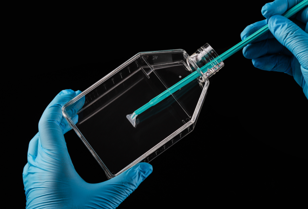 NEST Cell Scrapers sterile China Manufacturer