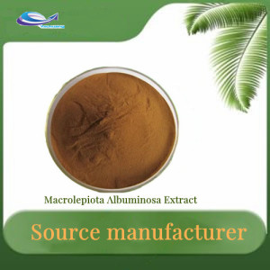 Hot Sale Polysaccharide 30% Macrolepiota Albuminosa