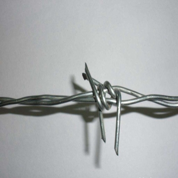 Hot-Dipped Galvanized Barbed Wire Price Per Roll