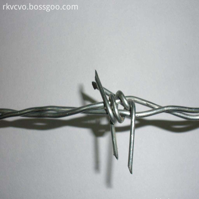 barbed wire mesh10